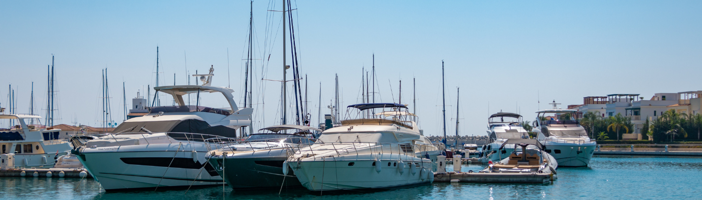 Boats in a marina