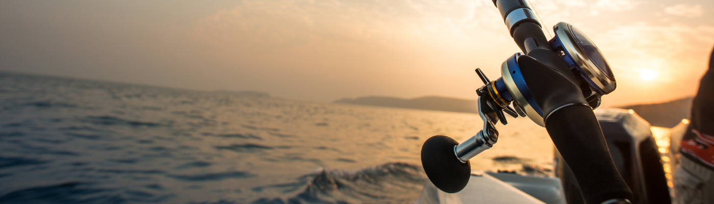 fishing rod trolling in the back of a boat